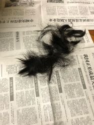 -龙文宝贝上门婴儿理发满月剃胎毛(黄浦店)