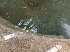 -南宫温泉水世界