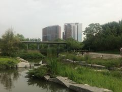-大望京公园