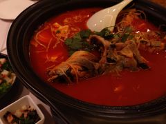 贵州酸汤鱼-贵州大厦贵州厅(樱花园西街店)