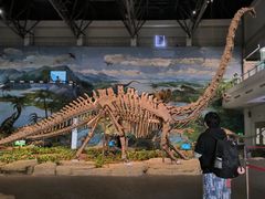 -自贡恐龙博物馆