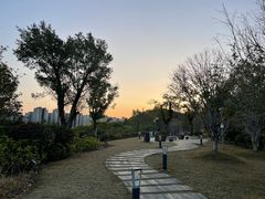 -牛岗山公园