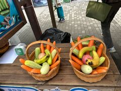 -野象谷景区
