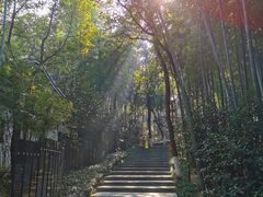 -天目湖山水园