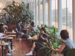 大堂-Seesaw Coffee(朝阳大悦城店)