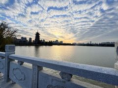 -洋湖国家湿地公园