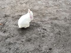 -苏州太湖西山岛开心农场