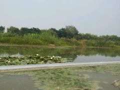 android_upload_pic-云龙湖旅游景区