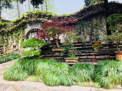 -绮园景区