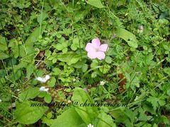 -互助北山国家地质公园漂流