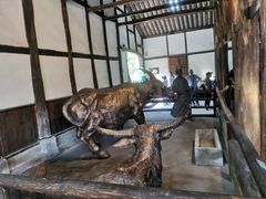 -燊海井