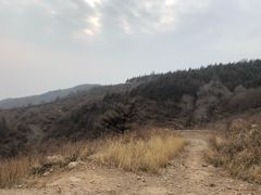 -妙峰山风景名胜区