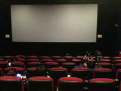 -大地影院(上海南汇店)