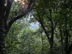 -紫金山山顶公园