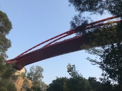 景点-金鸡山公园