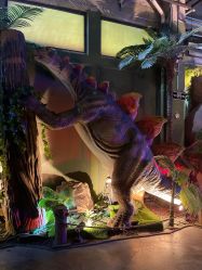 -恐龙探索乐园(磁器口店)