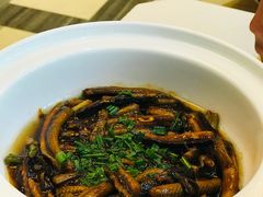 油爆鳝丝-老正兴菜馆(福州路店)