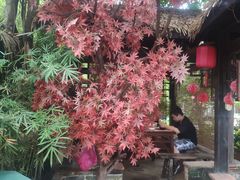 -园林美食城·本土农家菜(杨和镇店)