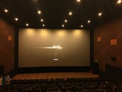 -德呈华业影城(爱琴海LUXE巨幕店)