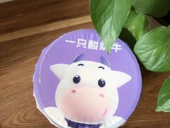 -一只酸奶牛(春熙路店)