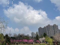 -堤角公园