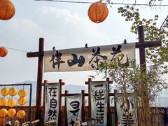 -伴山茶苑·围炉煮茶
