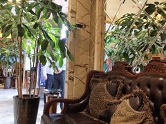 -金紫荆松骨休闲水会