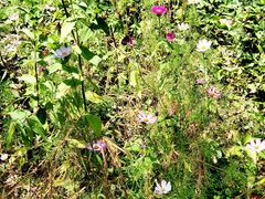 -野三坡清泉山风景区