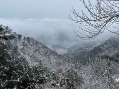 -泰山风景名胜区