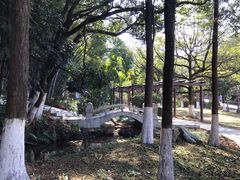 -天鹿湖森林公园