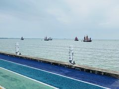 -贡湖湾湿地公园