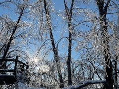 -中旅松花湖滑雪场