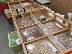 -粒上皇(扬名广场店)