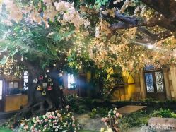 -完美新娘婚纱摄影