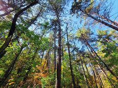 -帽儿山国家森林公园