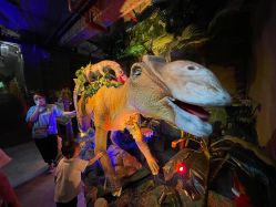 -恐龙探索乐园(磁器口店)