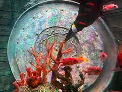 -沈阳海洋探索中心