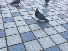 -阪急百货店(梅田总店)
