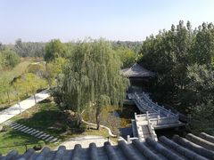 -武清南湖绿博园