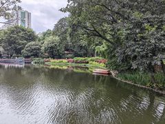 -晓港公园