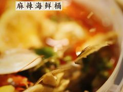 -金龙·打边炉(南京西路店)