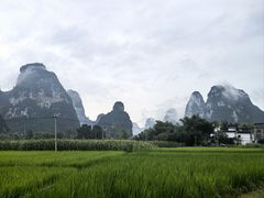 -明仕田园
