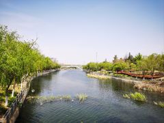 -商丘市人民公园