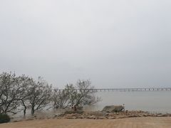 -宝安西湾红树林湿地公园
