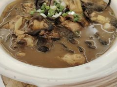 -天天渔港(杏林街店)