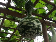 -兰陵国家农业公园