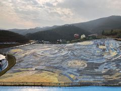 -瓷天下海丝谷