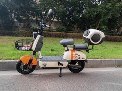 -绿源电动车(普陀专卖店)