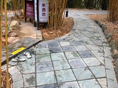 -森波拉火山温泉