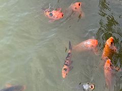 -春晖园度假酒店温泉